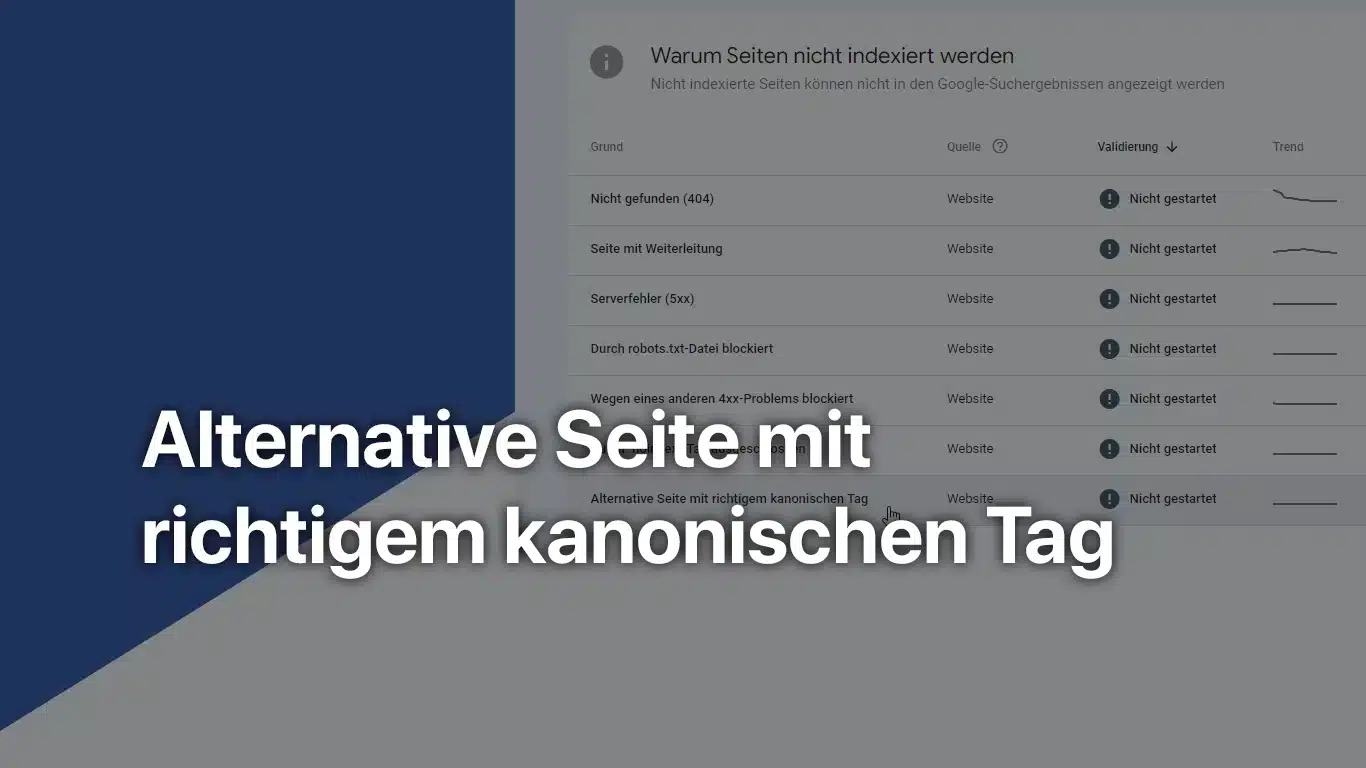 Meldung: Alternative Seite mit richtigem kanonischen Tag