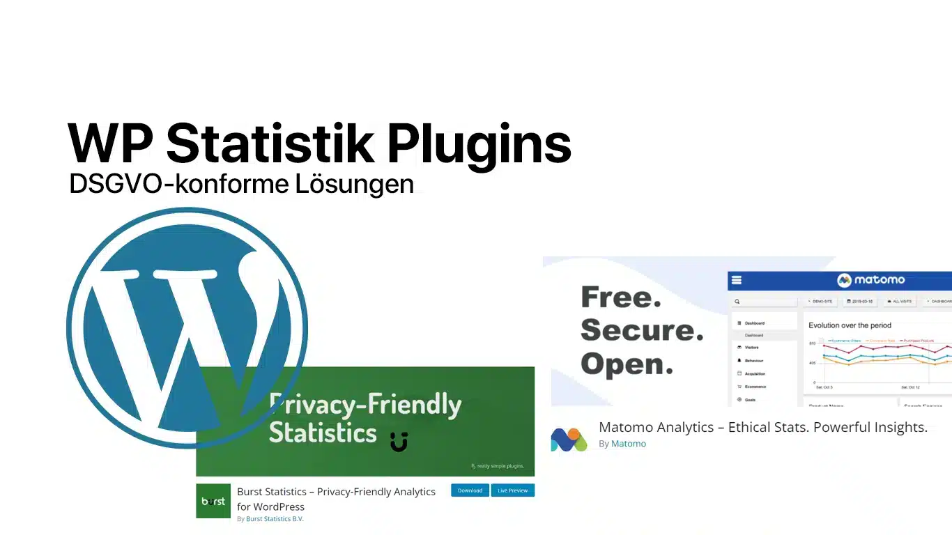 WP Statistik Plugins